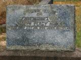 image of grave number 859302